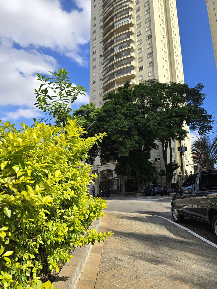 Praça ou rua arborizada do Parque da Mooca, a poucos metros do estúdio