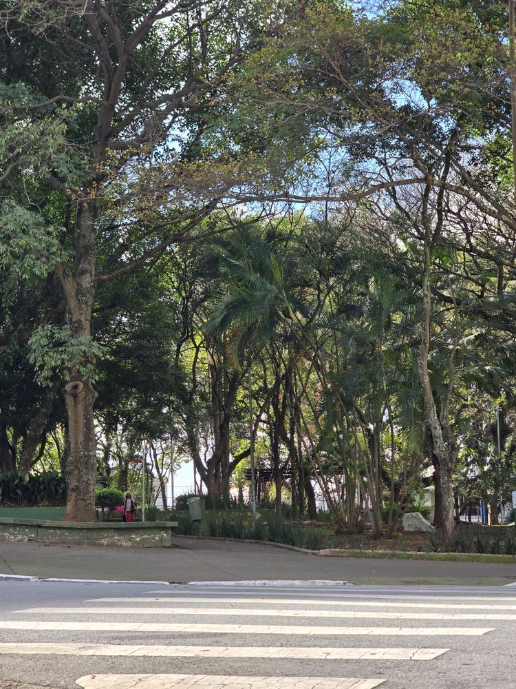 Praça ou rua arborizada do Parque da Mooca, a poucos metros do estúdio