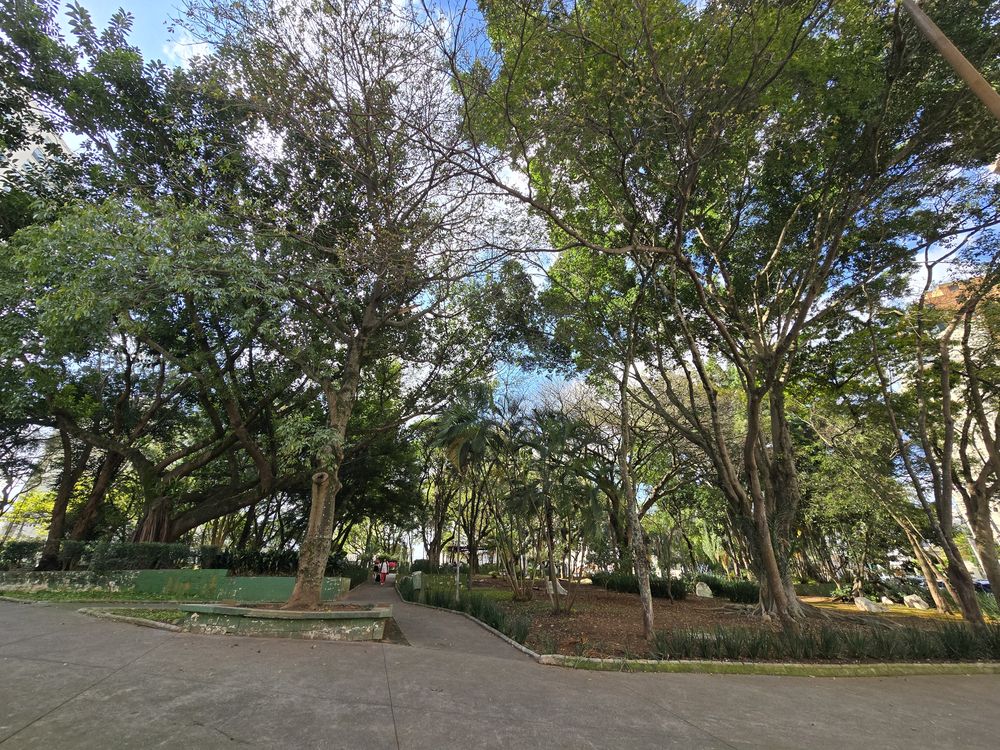 Praça ou rua arborizada do Parque da Mooca, a poucos metros do estúdio