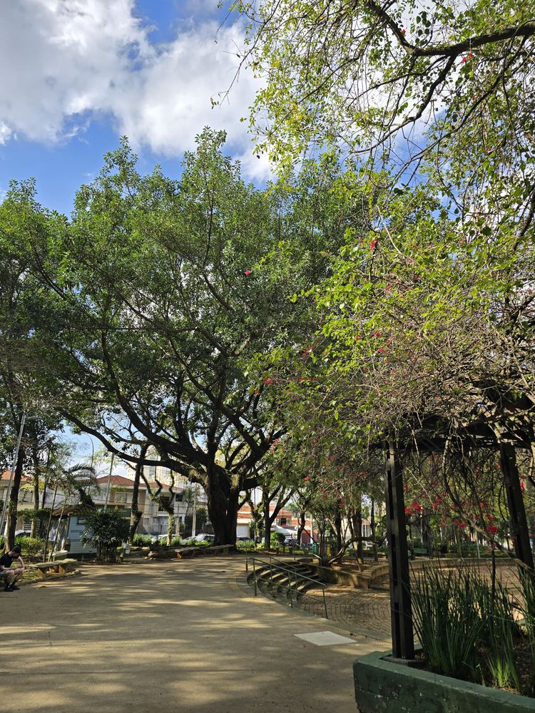 Praça ou rua arborizada do Parque da Mooca, a poucos metros do estúdio