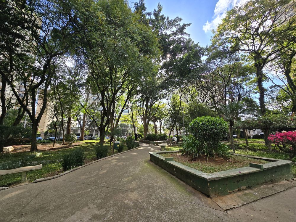Praça ou rua arborizada do Parque da Mooca, a poucos metros do estúdio