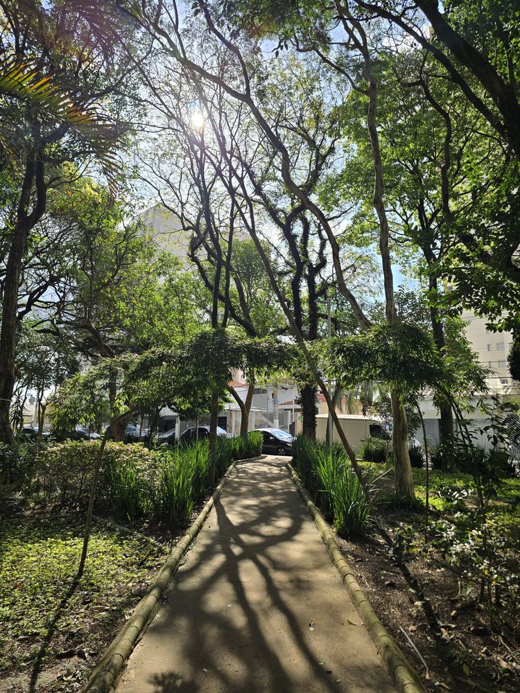 Praça ou rua arborizada do Parque da Mooca, a poucos metros do estúdio