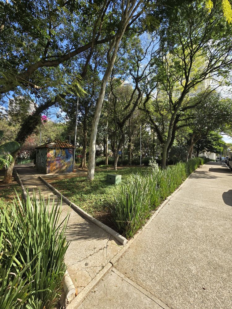 Praça ou rua arborizada do Parque da Mooca, a poucos metros do estúdio