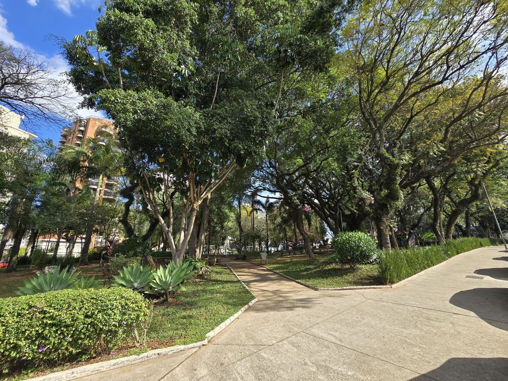 Praça ou rua arborizada do Parque da Mooca, a poucos metros do estúdio