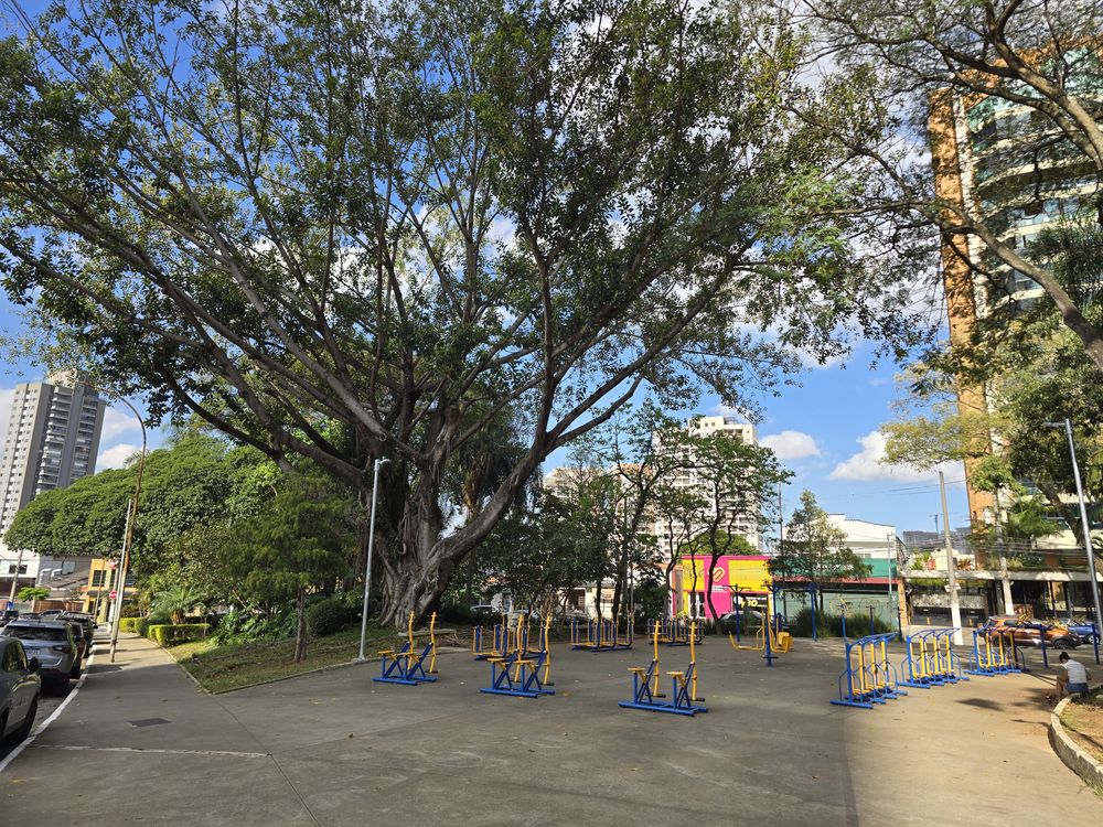 Praça ou rua arborizada do Parque da Mooca, a poucos metros do estúdio