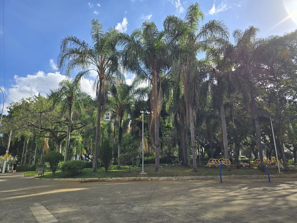 Praça ou rua arborizada do Parque da Mooca, a poucos metros do estúdio