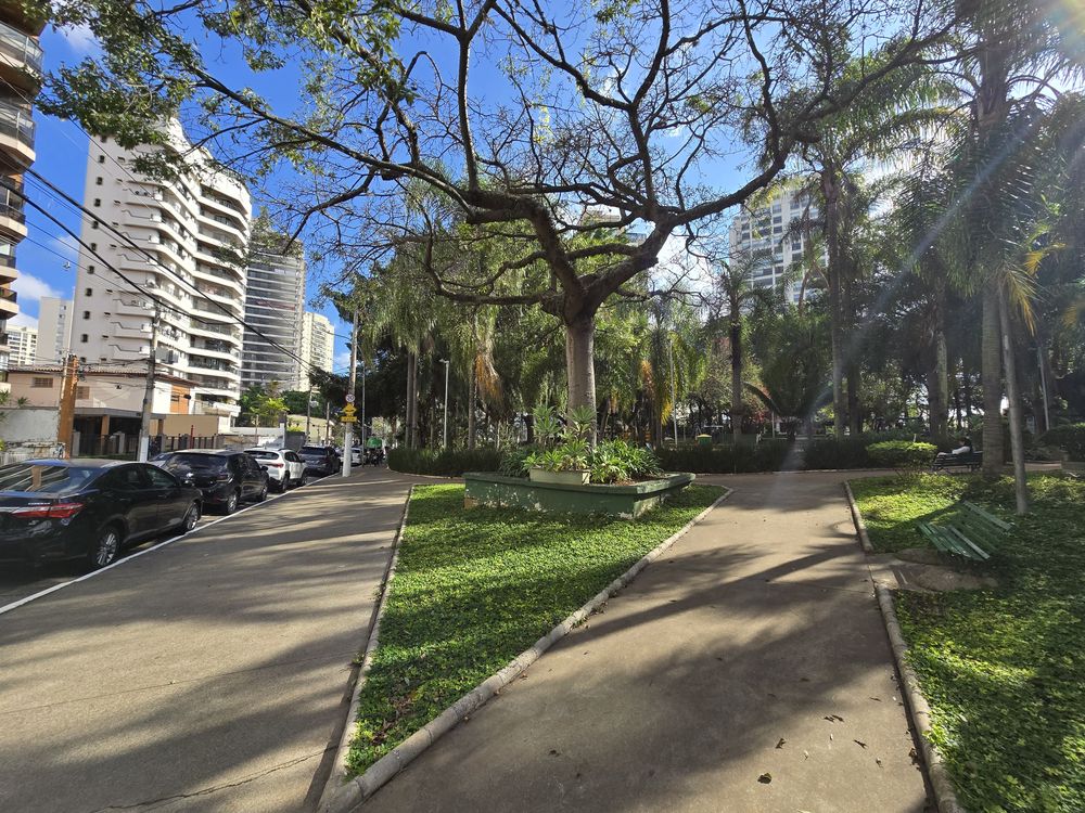 Praça ou rua arborizada do Parque da Mooca, a poucos metros do estúdio